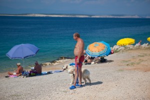 objects/1180/130033_+�ilo pla+�a za pse (1).JPG